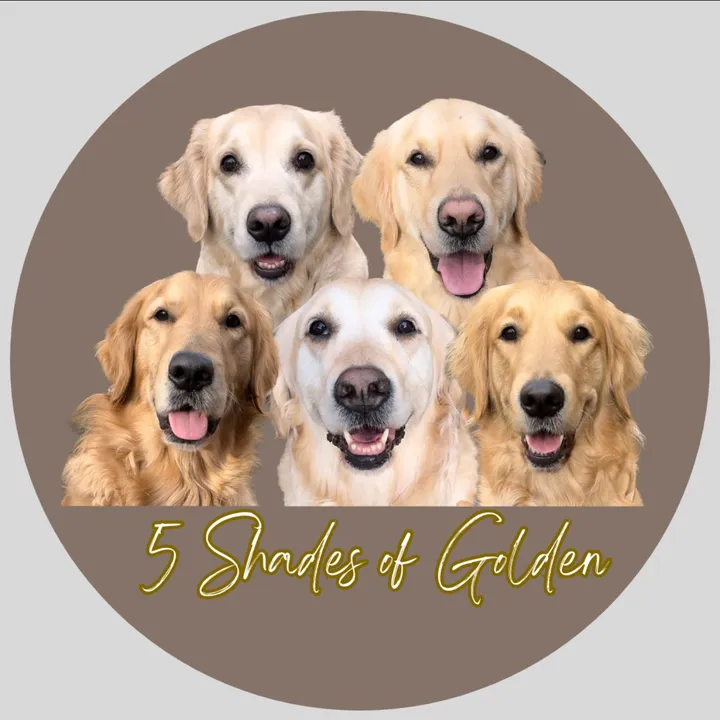 5_shadesofgolden