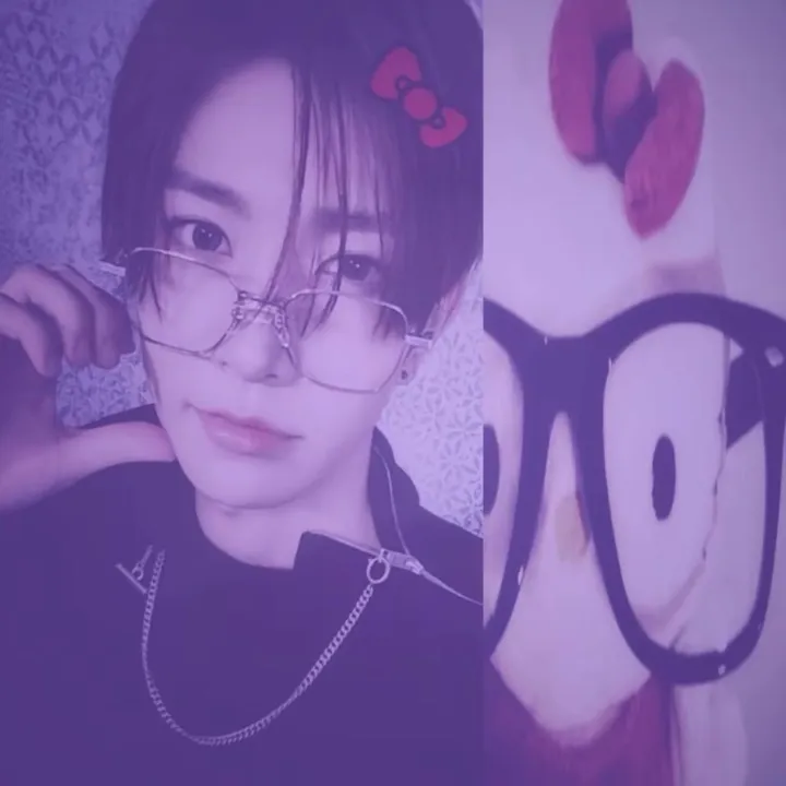 cams.1601