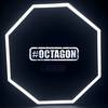 octagon213dz