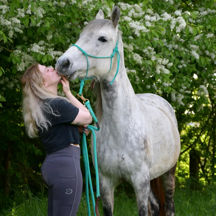 crazy.mare.daisy