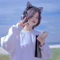 nakarisadesu