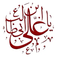 shabi.ul.hassan786