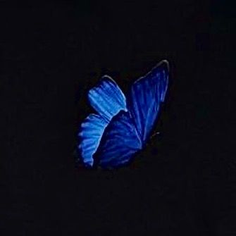 🦋 - original sound