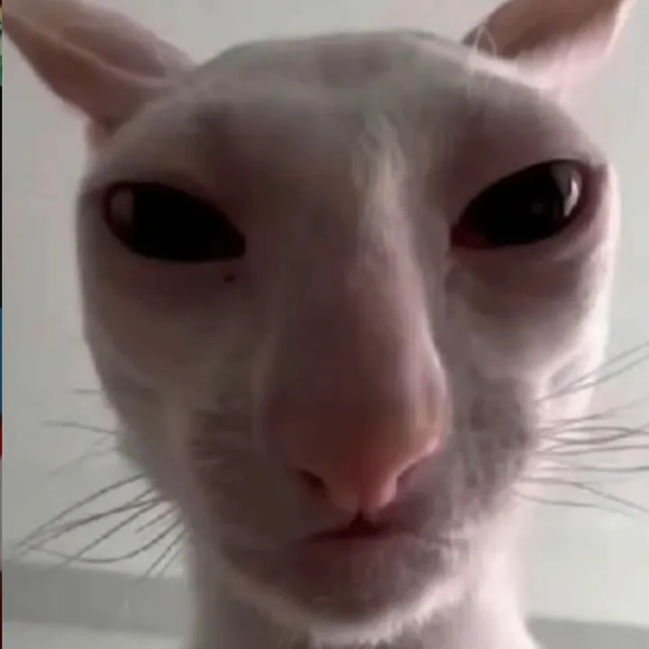 mouseskid