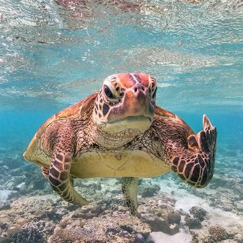 fandesavoir