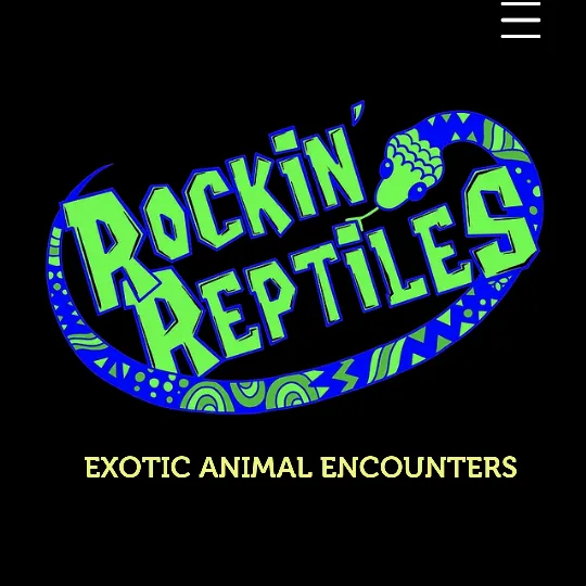 rockinreptilesbristol