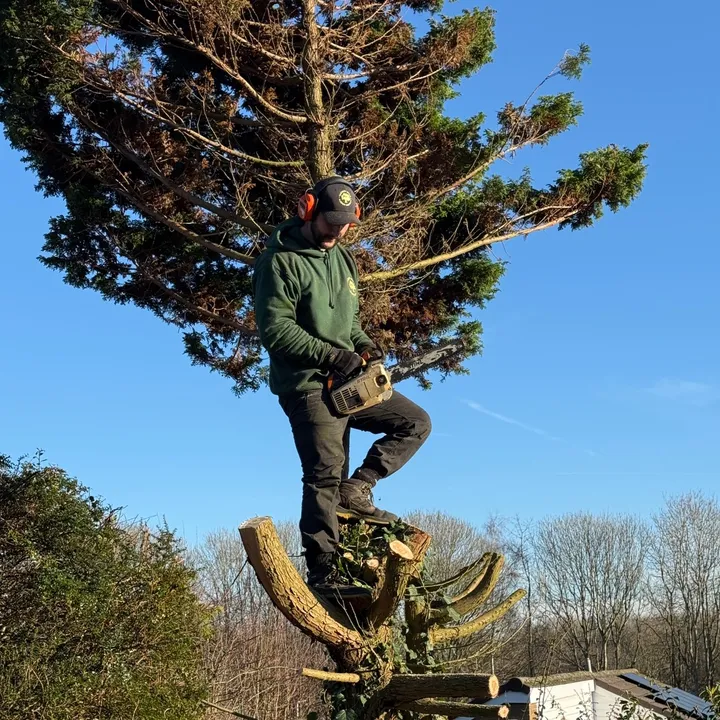 gardenstyleno1