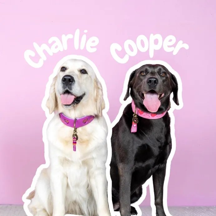 charliecoopertales