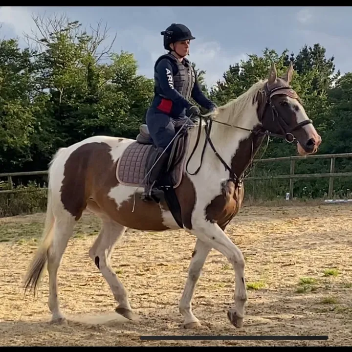 icklepoppet