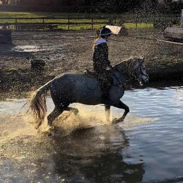 chloe_wiltshire_