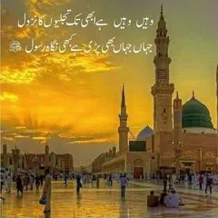 zahidaafzal670