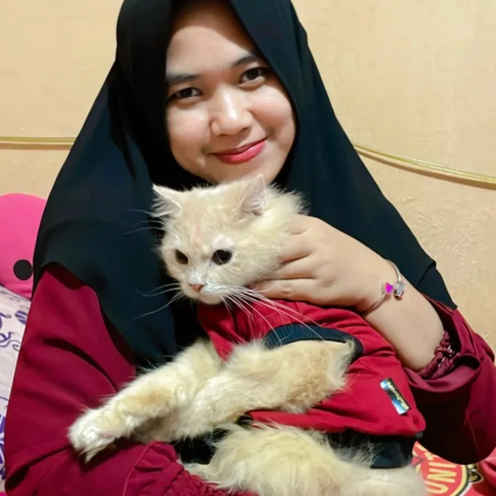 @ulfaahmad10