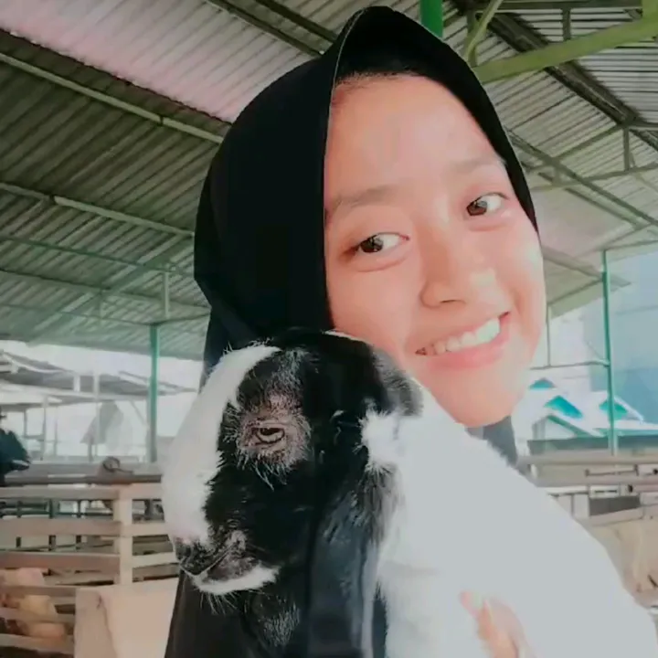 srikandiwedusan