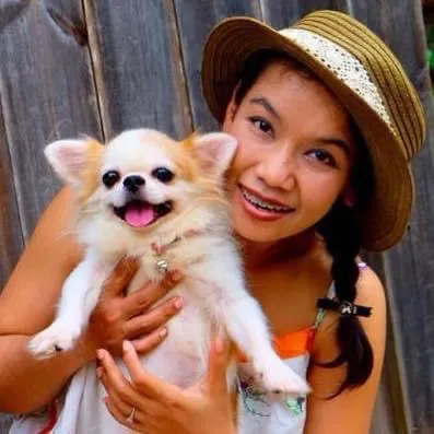 wowwchihuahua_happy